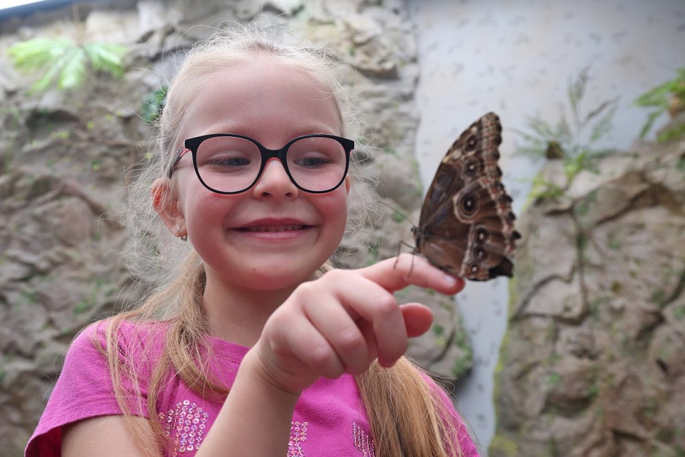 Soutěž o 5x rodinných vstupenek do Motýlího domu Papilonia Liberec